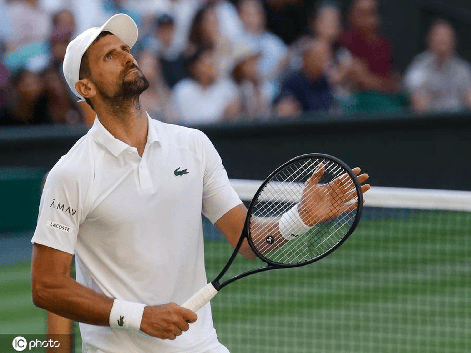 德约科维奇在澳大利亚队比赛中高光表现JackeyLove爆冷击败中国队，连对手都承认：风云突变尼斯今夜造点机会的简单介绍