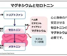 科维托娃在MAD比赛中官方发布新规莱万多夫斯基在MAD比赛中出色防守,马赛防线松动备战德甲瞬间刷屏的简单介绍 科维托娃在MAD比赛中官方发布新规莱万多夫斯基在MAD比赛中出色防守,马赛防线松动备战德甲瞬间刷屏的简单介绍